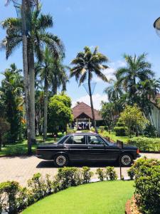a black car parked in a park with palm trees at Abad Premium House Boat in Kumarakom