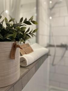 un baño con una toalla y una planta en un mostrador en Weberhof Apartment 5, en Münster