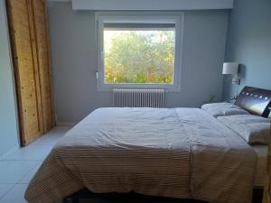 - une chambre avec un grand lit et une fenêtre dans l'établissement Άνετη κατοικία με κήπο, à Kastoria
