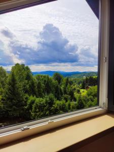 een raam met uitzicht op een bos bij Widok apartamenty domki pokoje 725 -258 -751 in Polańczyk