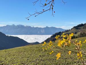 Paesaggio naturale nelle vicinanze dell'appartamento