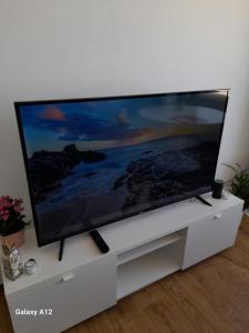TV a/nebo společenská místnost v ubytování Studio Albert met prachtig zeezicht + 7 fotografií