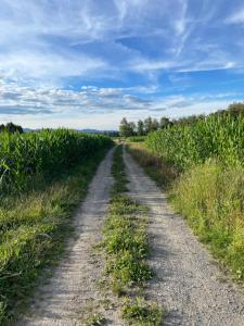 Paesaggio naturale nelle vicinanze dell'appartamento