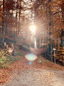 Paesaggio naturale nelle vicinanze dell'appartamento