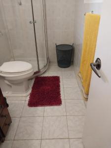 La salle de bains est pourvue de toilettes et d'un tapis rouge. dans l'établissement Attractive 2-Bed Apartment stunning sea view, à Dickenson Bay