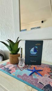 a table with a box and a potted plant on it at Macs Cove, Marina Martinique in Jeffreys Bay