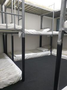 a group of bunk beds in a dorm room at Dubai Hostel, Bedspace and Backpackers in Dubai