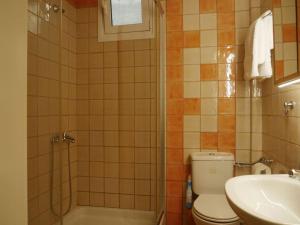 a bathroom with a toilet and a shower and a sink at Green Cozy Nest in Paleo Tsifliki +9 photos