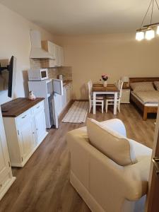 a kitchen and living room with a couch and a table at Penzión Thamasy in Spišské Tomášovce