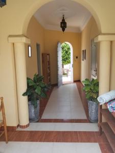 a hallway in a house with two potted plants at Chez Fatima et Hervé in Somone +86 photos