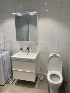 a bathroom with a toilet and a sink and a mirror at Nice guest house in Stockholm