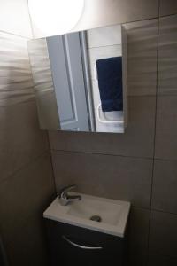 a bathroom with a sink and a mirror at Appartement T 1bis in Saint-Geoire-en-Valdaine