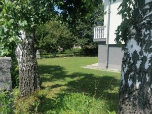 une cour avec deux arbres et une maison blanche dans l'établissement Tranquil Retreat - "Villa Green Oasis", à Sarajevo