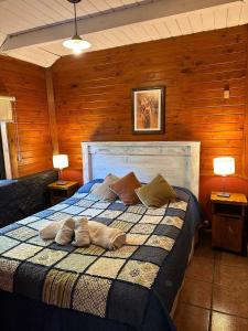 1 dormitorio con 1 cama con 2 almohadas en Costa Bonita Cabañas en Villa Pehuenia