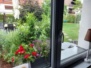 a window with a view of a garden with red flowers at Gästehaus Grüne Oase in Fulda