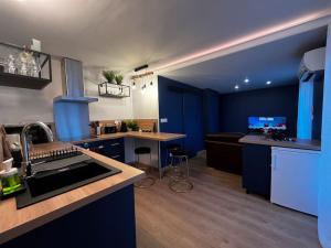 布尔日Superbe Appartement Centre B的设有带蓝色墙壁的厨房和带水槽的厨房