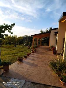 Κήπος έξω από το Casa vacanze Le mimose Colline di Tropea