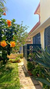 a house with a blue fence and some flowers at Araxi in Villa San Pietro