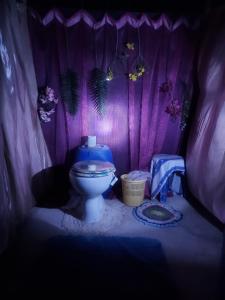 ein lila Badezimmer mit WC in einem Zimmer in der Unterkunft Suite under the stars in Kalymnos