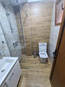 a bathroom with a shower and a toilet and a sink at Villa Kristina - Apartment no.2 in Vrben