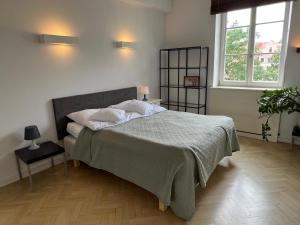 1 dormitorio con 1 cama con manta y ventana en I&M Apartments Plac Solny Wrocław en Wroclaw