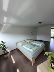 ein Schlafzimmer mit einem Bett in einem Zimmer in der Unterkunft Ferienwohnung Bodensee Nähe in Rielasingen-Worblingen