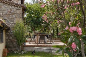 A garden outside Casa Rural en Candeleda con piscina y un maravilloso jardín