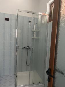 y baño con ducha y puerta de cristal. en Fori Vodo en Divjakë