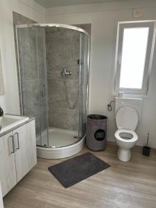 ein Badezimmer mit Dusche, Toilette und Waschbecken in der Unterkunft Vila Olson - Holiday Village Twins in Pakoštane
