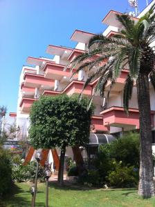 a pink building with a palm tree in front of it at Hotel Corallo in Fregene