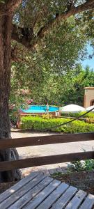 a wooden bench sitting under a tree next to a tree at Camerota Basic Appartamenti in Lentiscosa