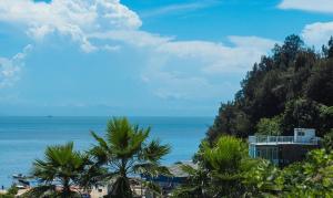 a view of the ocean with palm trees at Wenzhou Ban Hotel in Banping
