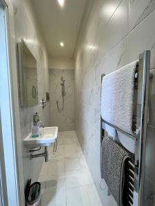 a bathroom with a sink and a shower at Beinn Mhor Lodge in Inverness