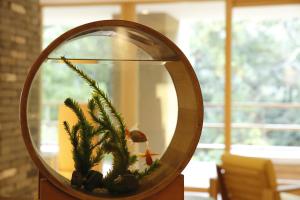 Fotografie z fotogalerie ubytování Kinnotake Tonosawa (Adult Only) v destinaci Hakone