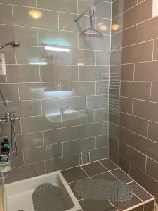 a bathroom with a shower with a tub at Résidence du bord du Tarn in Millau