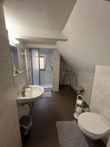 uma casa de banho com um lavatório branco e um WC. em Pension Alpenrose em Bad Schandau