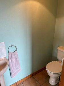 Baño con una toalla rosa colgada en la pared en The Cobbler Rosscarbery Holiday Cottage, en Rosscarbery