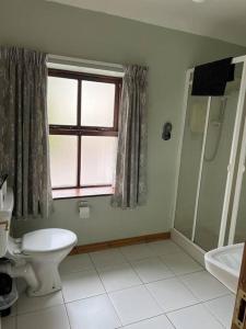 baño con aseo y ducha y ventana en The Cobbler Rosscarbery Holiday Cottage, en Rosscarbery