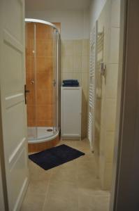 Kylpyhuone majoituspaikassa Apartment in Praha 3