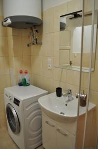 a bathroom with a washing machine and a sink at Apartment in Praha 3 in Prague