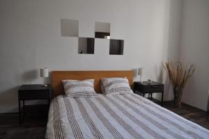 a bedroom with a bed with two night stands and a television at Apartment in Praha 3 in Prague