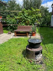 a bird bath sitting in the grass with a bench at Casa Corina in Vişeu de Sus