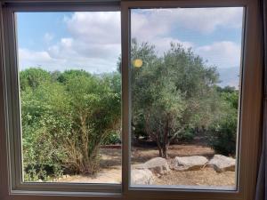 Zahrada ubytování הבית ליד הבוסתן