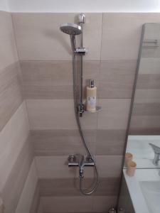 y baño con ducha con cabezal de ducha. en Delightful Studio Grigorescu, en Bucarest