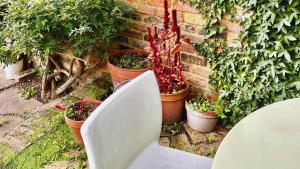 倫敦的住宿－Lovely 3-Bed Apartment & garden & dog friendly，坐在一些盆栽植物前的白色厕所