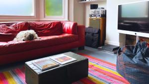 a dog laying on a red couch in a living room at Lovely 3-Bed Apartment & garden & dog friendly in London