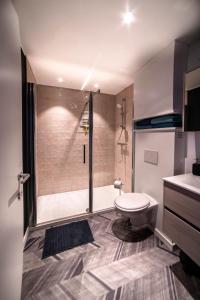 y baño con ducha, aseo y lavamanos. en Gîtes de Tournai - Les carrières, en Tournai