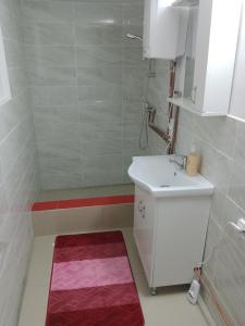 y baño pequeño con lavabo y ducha. en Casa Roxy, en Cristian