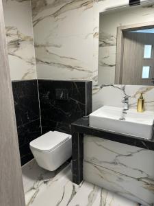 維斯瓦的住宿－Roomflacja，一间带水槽、卫生间和镜子的浴室