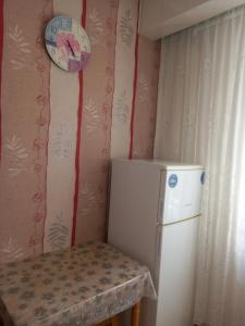 卡緬涅茨波多利斯基的住宿－Apartment on Kniaziv Koriatovychiv，厨房配有冰箱和墙上的时钟